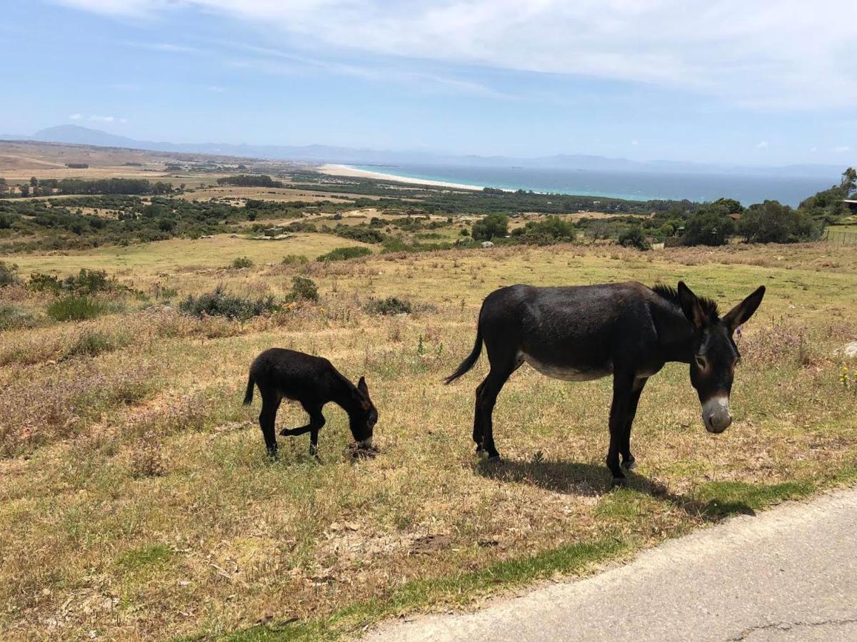 El Estrecho Apartman Tarifa Kültér fotó