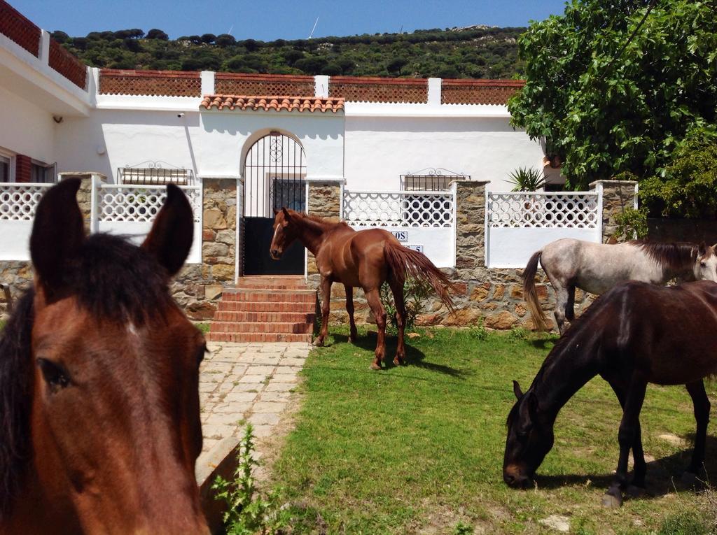 El Estrecho Apartman Tarifa Kültér fotó
