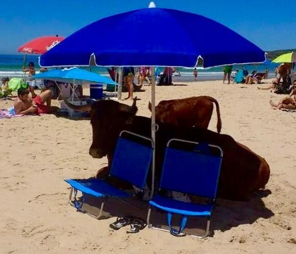 El Estrecho Apartman Tarifa Kültér fotó